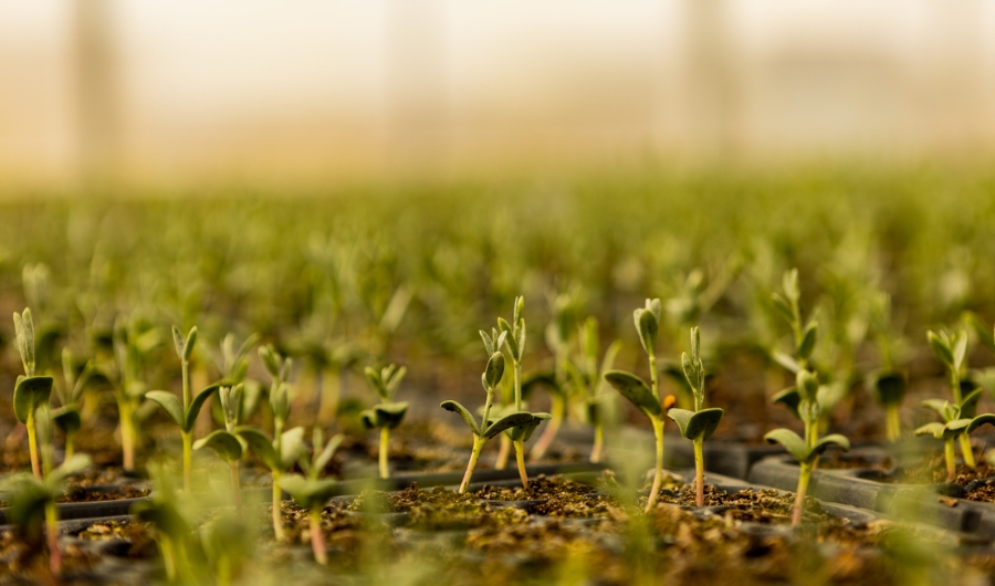 an cover image of blog post